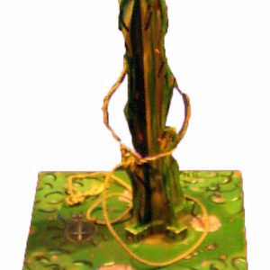 Lasso werpen