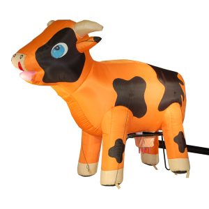 Boerderij